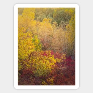 autumn trees background Sticker